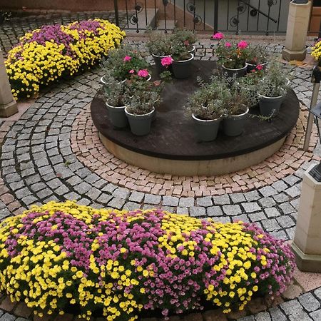 Altstadtidyll Meißen Buitenkant foto