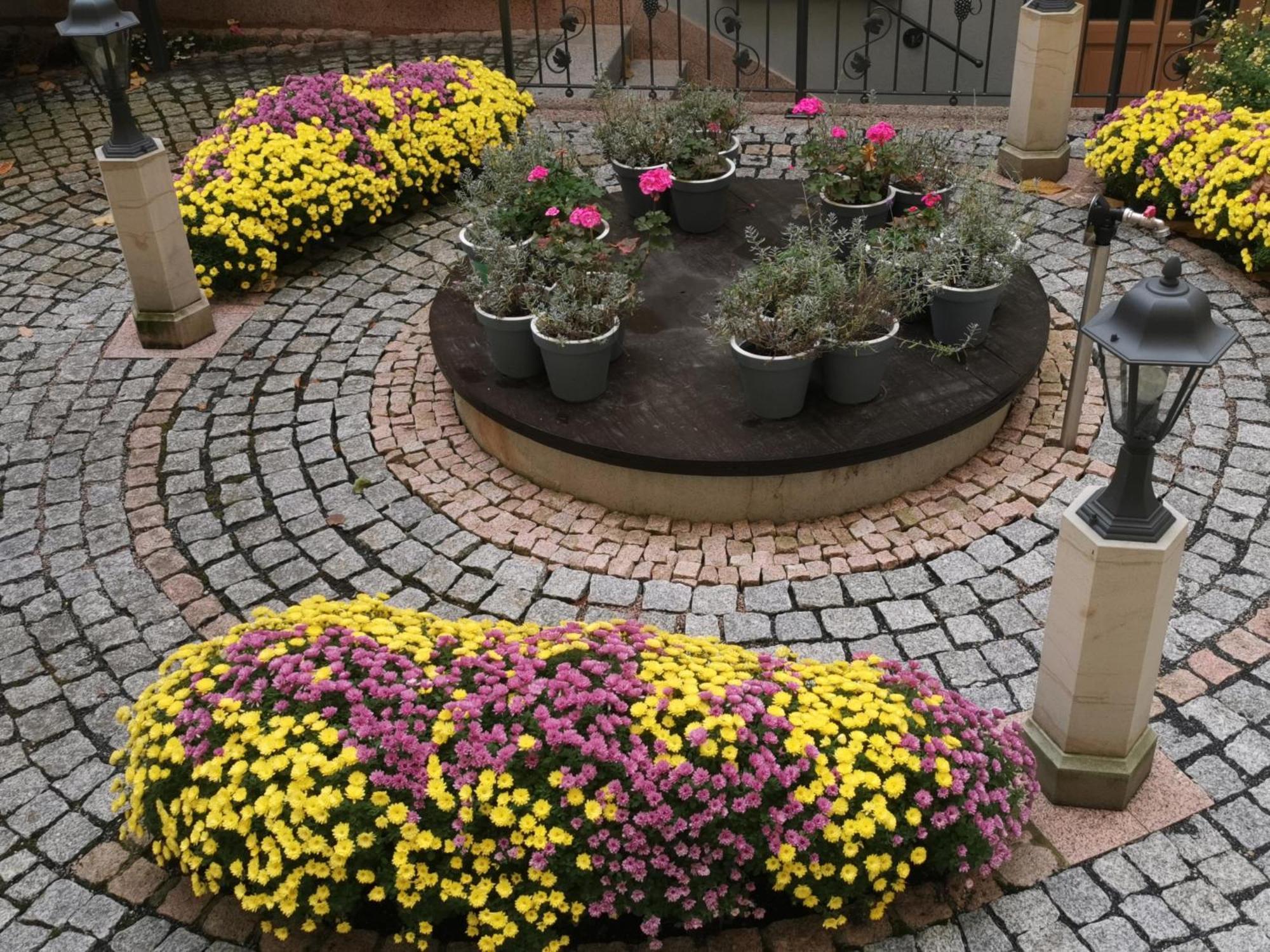Altstadtidyll Meißen Buitenkant foto